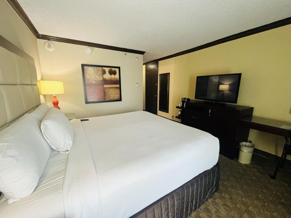 Wingate Houston near NRG Park/Medical Center Image #18